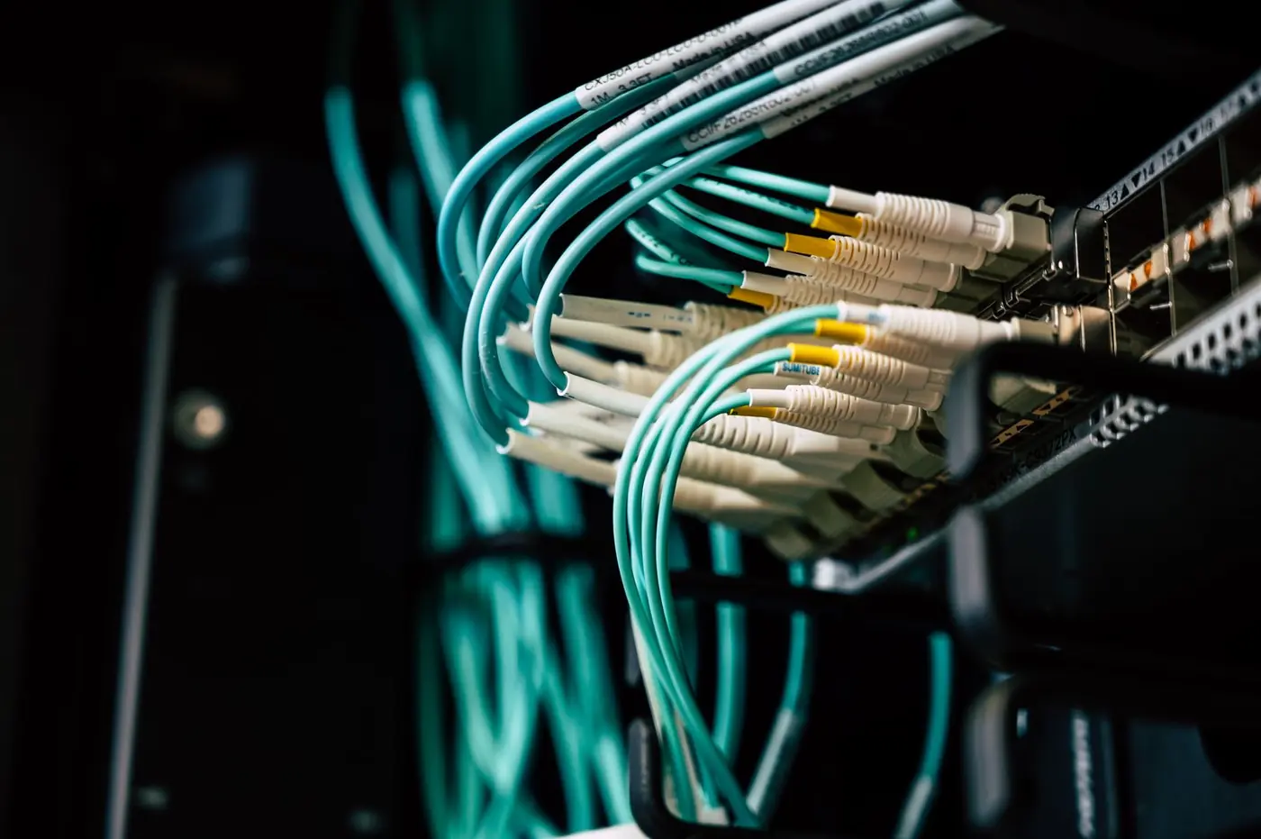 Cavi in fibra ottica ordinati e collegati a un apparato in un rack